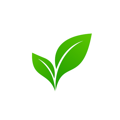 ecology vector logo go green